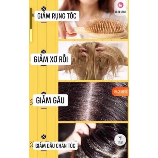 Dầu gội gừng adolph