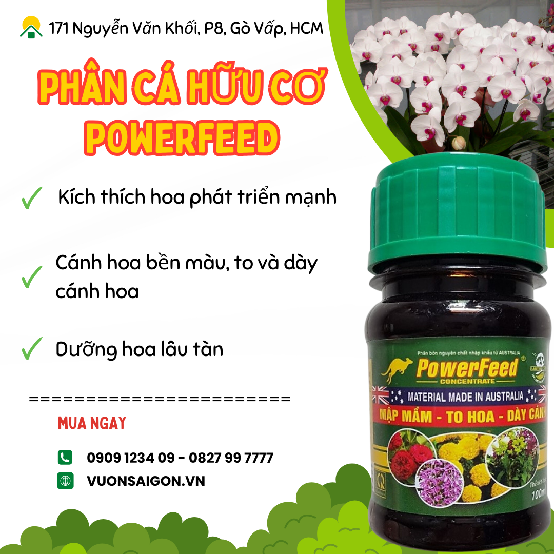 Phân cá không hôi Power Feed của Úc (Chai 100ml) (Vườn Sài Gòn - Vuon Sai Gon) giúp mập mầm, to hoa, dày cánh (Vườn Sài Gòn - Vuon Sai Gon)
