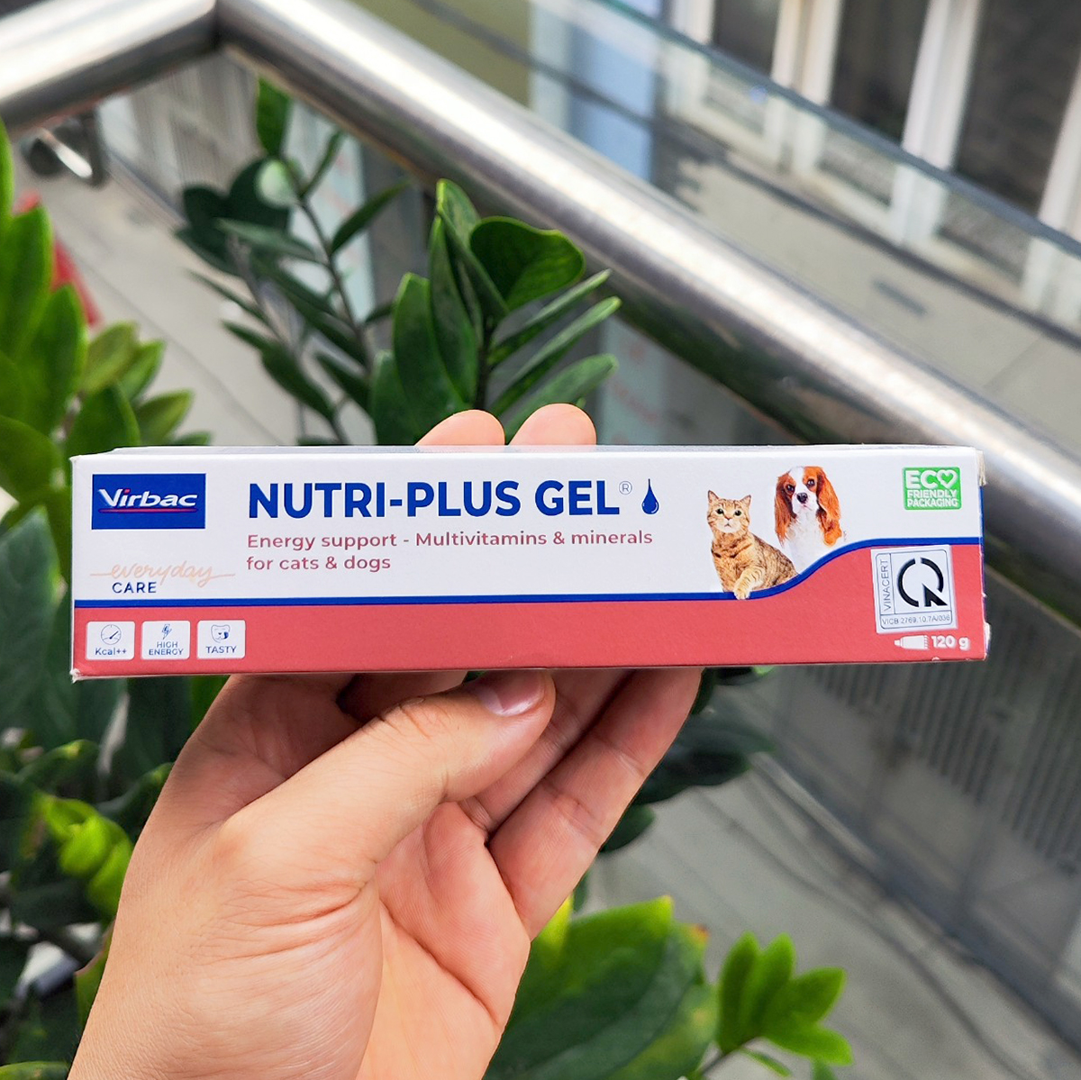 [HOÀN TIỀN 10%]Gel dinh dưỡng chó mèo Nutri Pus Gel 120g Dành cho thú cưng - Cutepets
