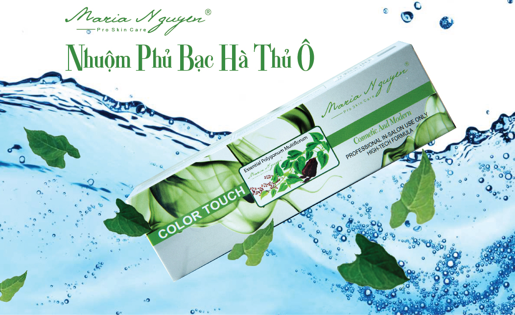 Thuốc nhuộm phủ bạc hà thủ ô Maria nguyễn
