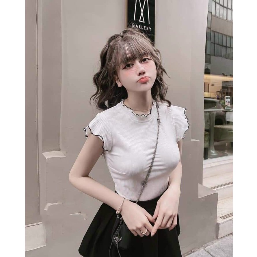 Áo thun nữ cổ tròn cuốn biên thời trang XINSO cao cấp mềm mịn co giãn tốt không bai xù