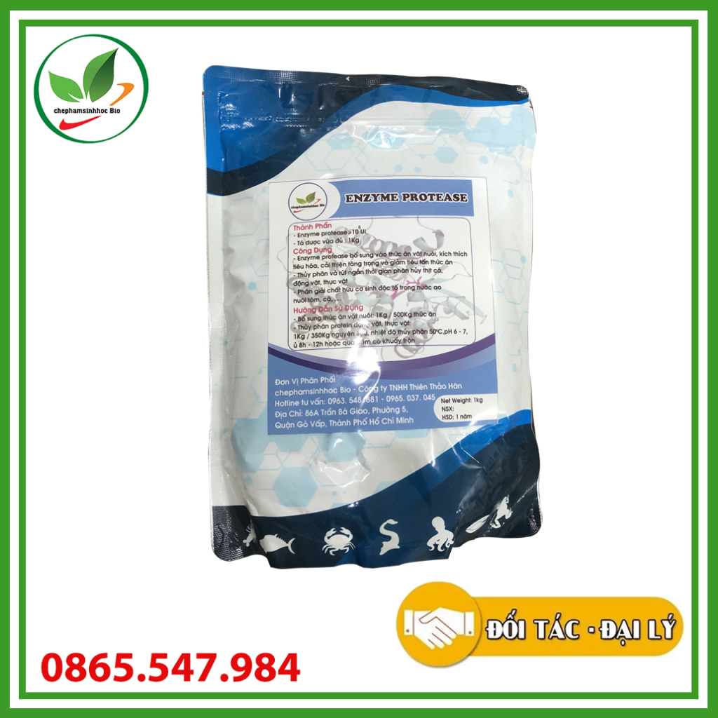 Enzyme Protease phân giải protein, độc tố trong nước ao nuôi tôm, cá. Gói 1Kg