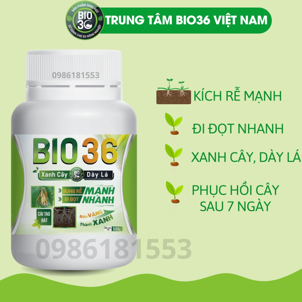 Bio 36 siêu kích rễ đi đọt nhanh, xanh cây, dày lá, cải tạo đất lọ 500g dùng cho 1,5 héc ta - pha 2000l nước