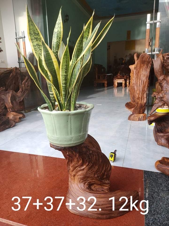 Đôn lũa ngọc am đỏ Hà Giang
