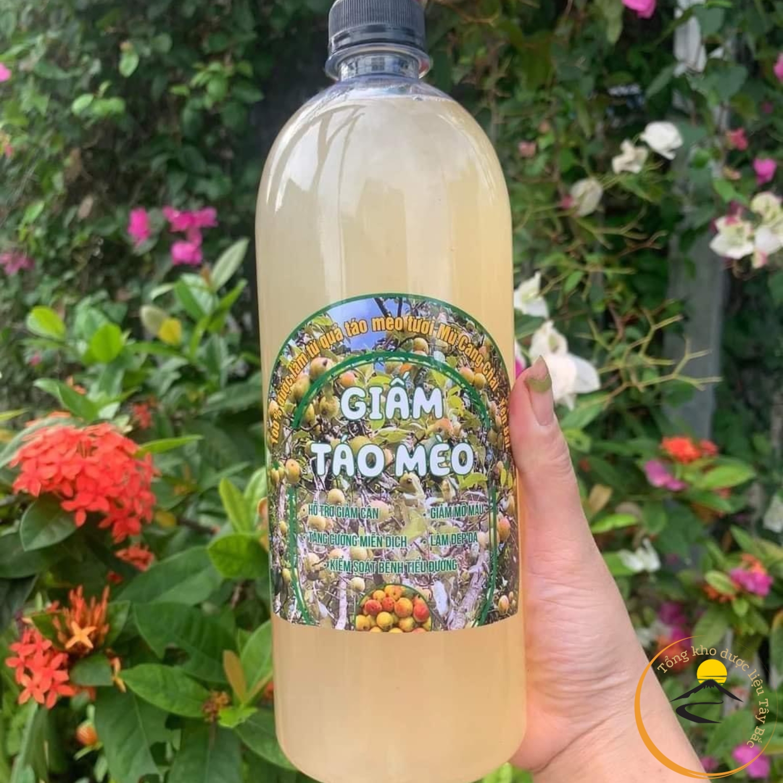 Giấm táo mèo giảm cân loại 1 , giấm táo mèo hữu cơ organic nguyên chất. Dấm táo mèo giảm cân, mỡ bụng