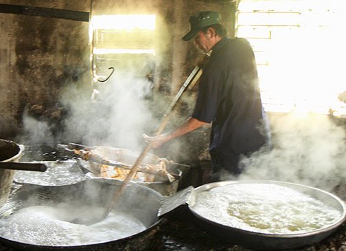 1KG ĐƯỜNG PHÈN VÀNG (NHẠT) KHÔNG PHẨM MÀU MẬT MÍA ĐẶC BIỆT QUẢNG NGÃI