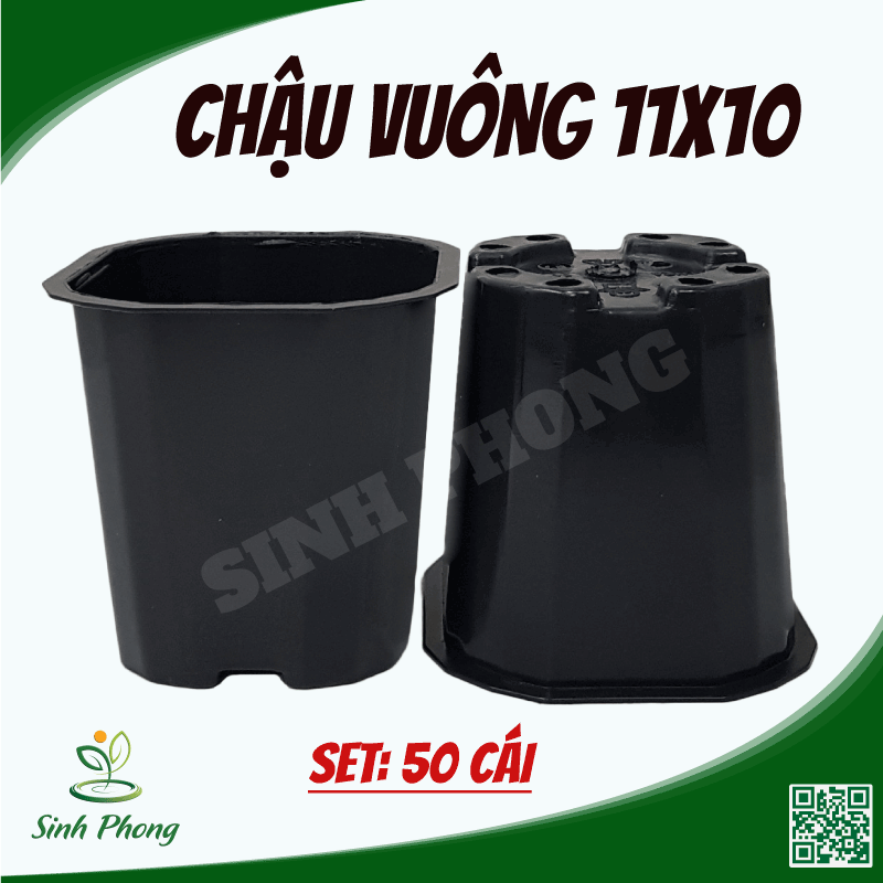 Chậu vuông 11x10 đen (Set 50 cái) Chất liệu: được làm từ nhựa PP dày cao cấp, độ bền cao, chịu nhiệt tốt, lỗ thoát nước chuẩn đẹp  - Sản phẩm chất lượng - gian hàng uy tín - giá luôn tốt - mua ngay kẻo lỡ !