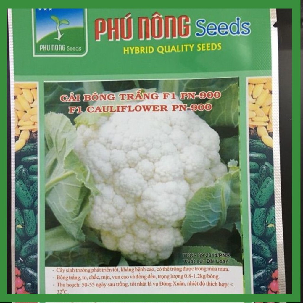 Hạt Giống Bông Cải Trắng Dễ Trồng, Chịu Nhiệt CHẤT LƯỢNG CAO-