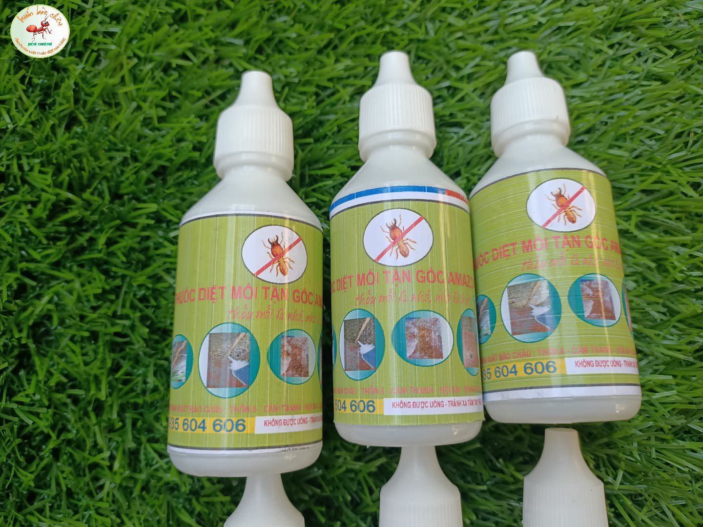 Thuốc diệt mối tận gốc sinh học Amazon 50ml