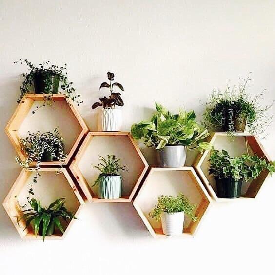Kệ gỗ lục giác thiết kế bắt mắt
