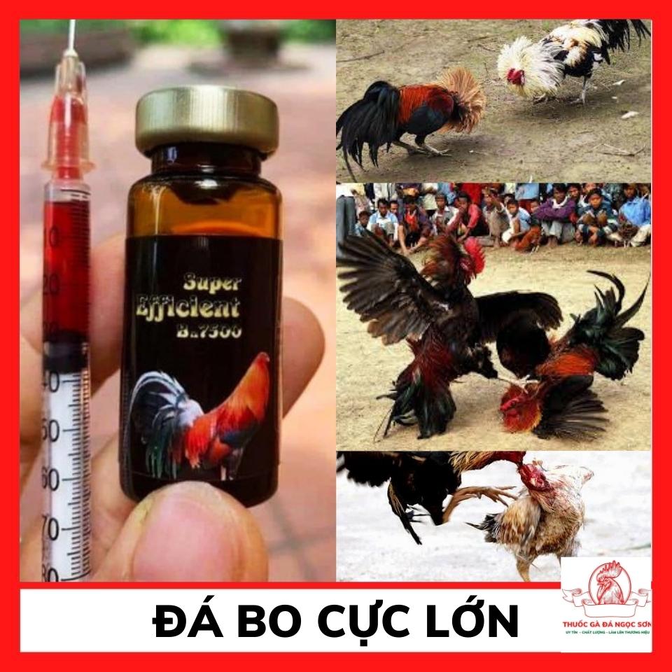 Thuốc nuôi gà đá tăng bo 7500 10 ML nuôi không nóng gà, thuốc gà đá cho gà tre, b12 cho gà chọi, vitamin b12 cho gà nhập khẩu Mexico.