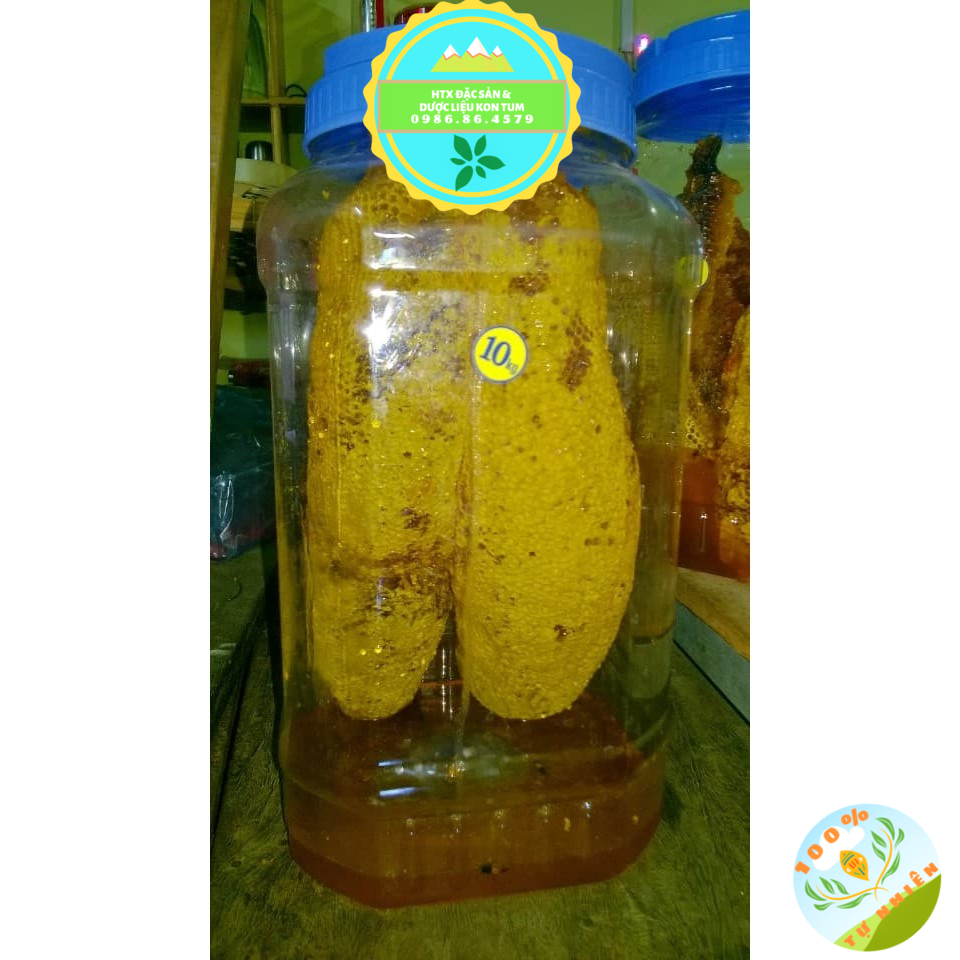 Mật ong ruồi nguyên tổ Kon Tum tăng cường sức khỏe