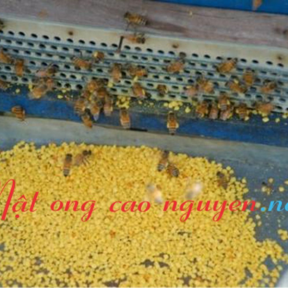 Phân hoa mật ong cà phê nguyên chất