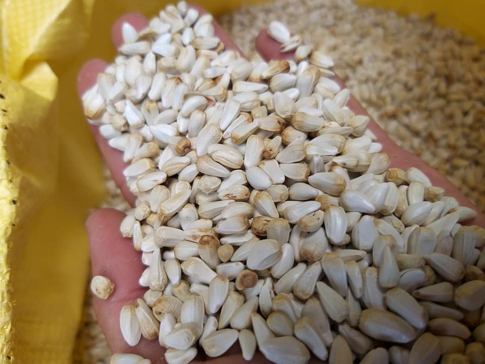 Hạt kham dinh dưỡng dành cho hamster và chim gói 500g