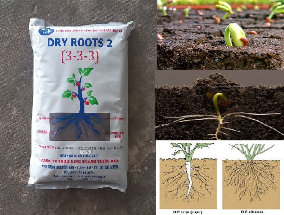 Phân bón hữu cơ  DRY ROOTS 2 (3-3-3) 1 kg