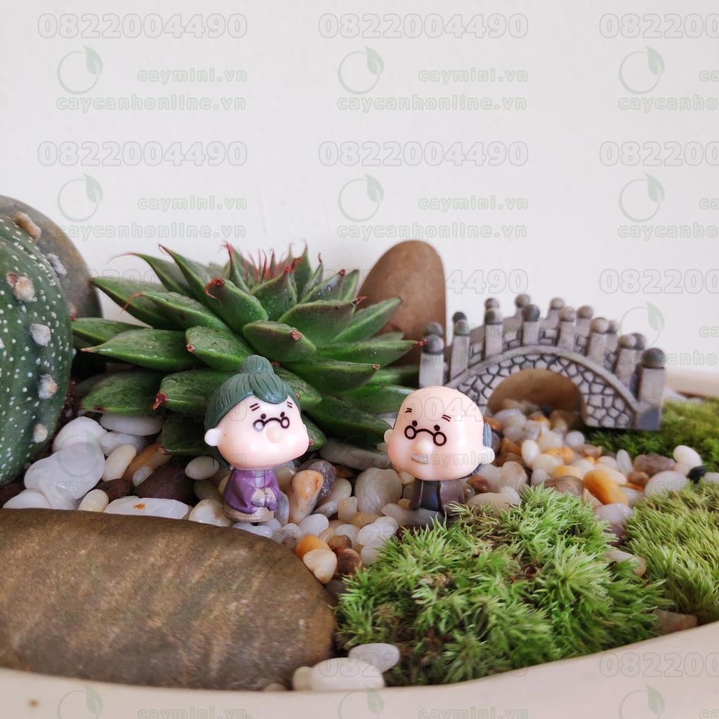 Cặp đôi ông bà già đáng yêu - Trang trí tiểu cảnh Terrarium