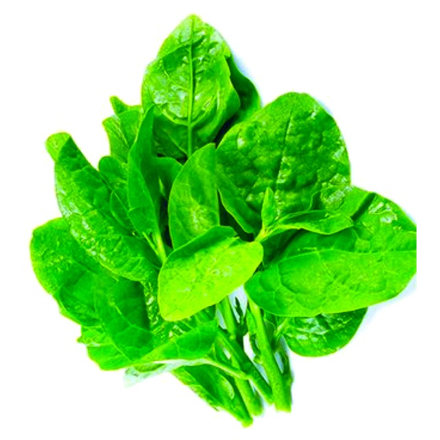 Hạt Giống Rau Mồng Tơi, Rau Mùng Tơi F1 (Lá To gói 20-100gr)