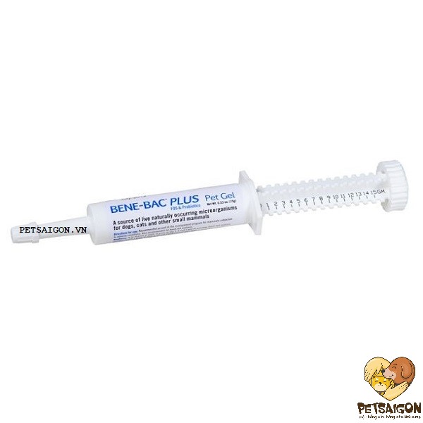 Ống men bene-bac plus 15gr