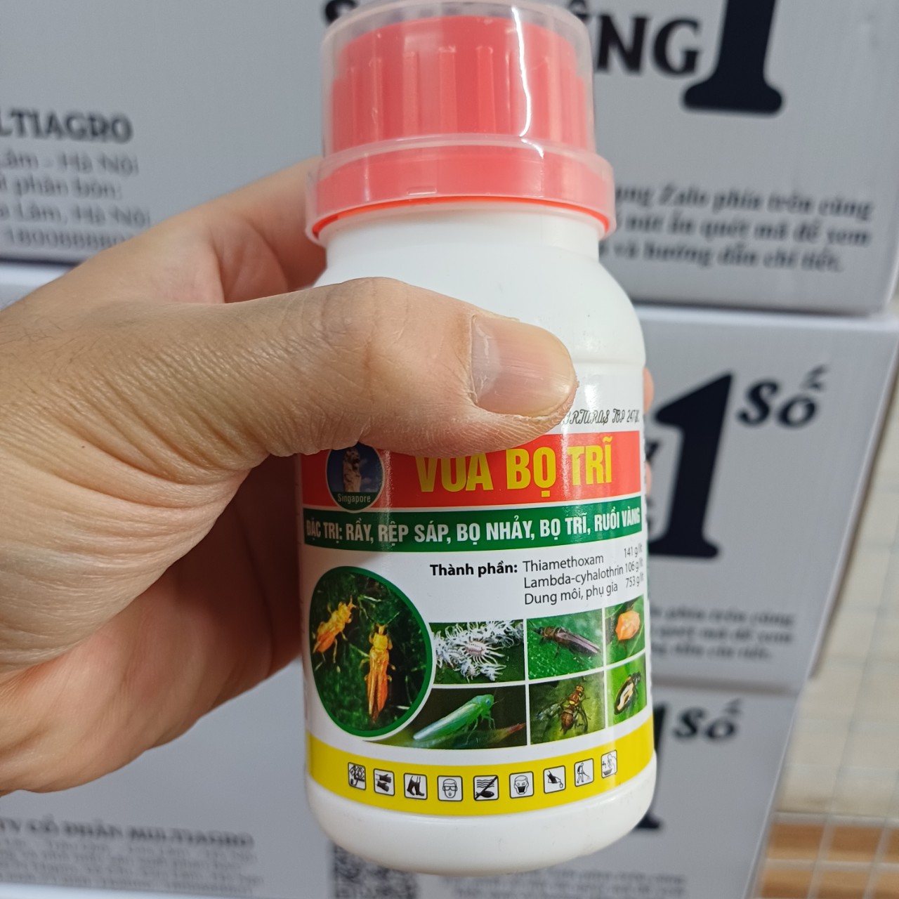 Combo 5 chai Vua Bọ Trĩ 240ml/Chai; Thuốc diệt hiệu quả bọ trĩ, rầy xanh, rầy trắng, rầy nâu, rệp sáp, ruồi vàng trên cây trồng