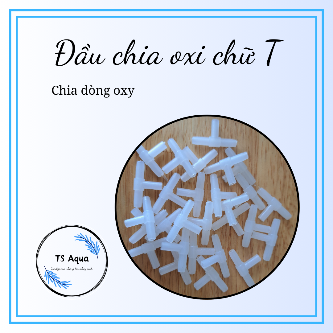 Đầu chia oxi chữ t - ts aqua