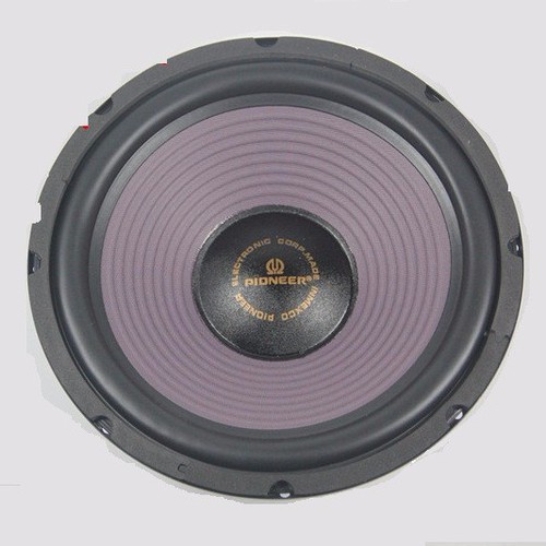 Loa pioneer bass 25