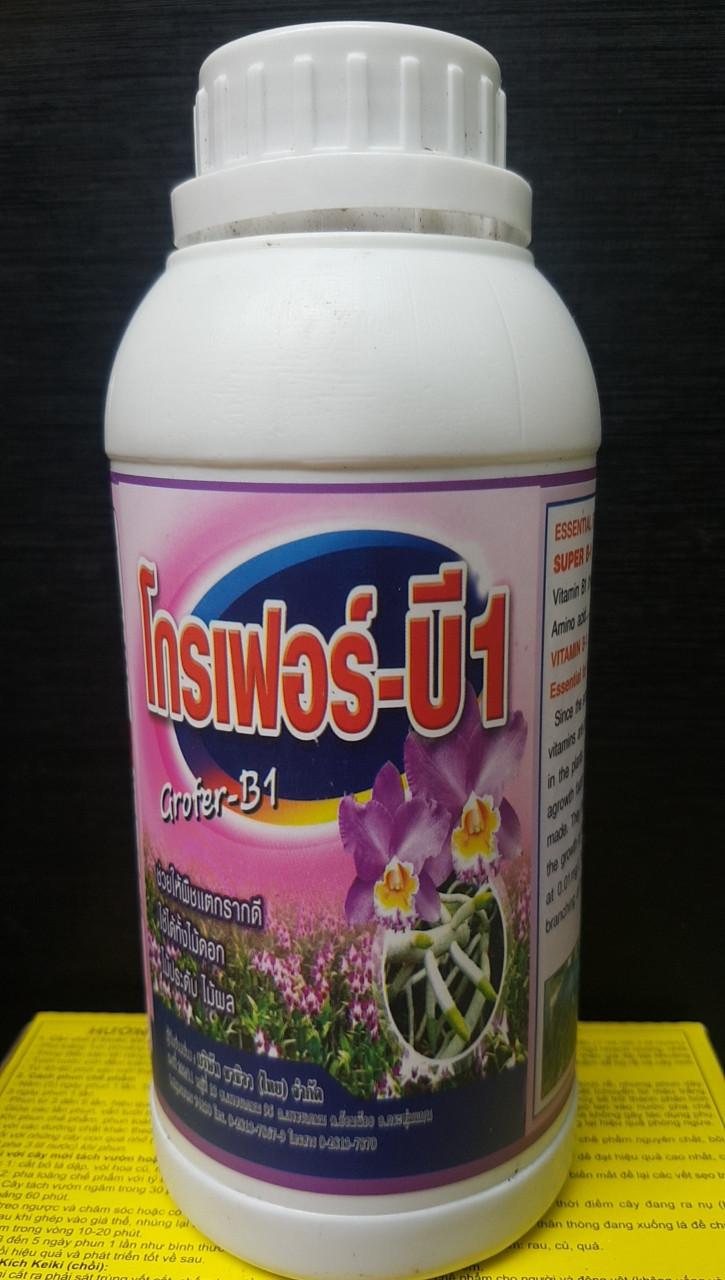 b1 Thái cho lan  Super B1 - Công thức siêu ra rễ 500ml