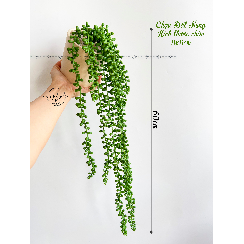 Cây giả, chậu cây sen đá chuỗi ngọc trang trí, để bàn cao cấp