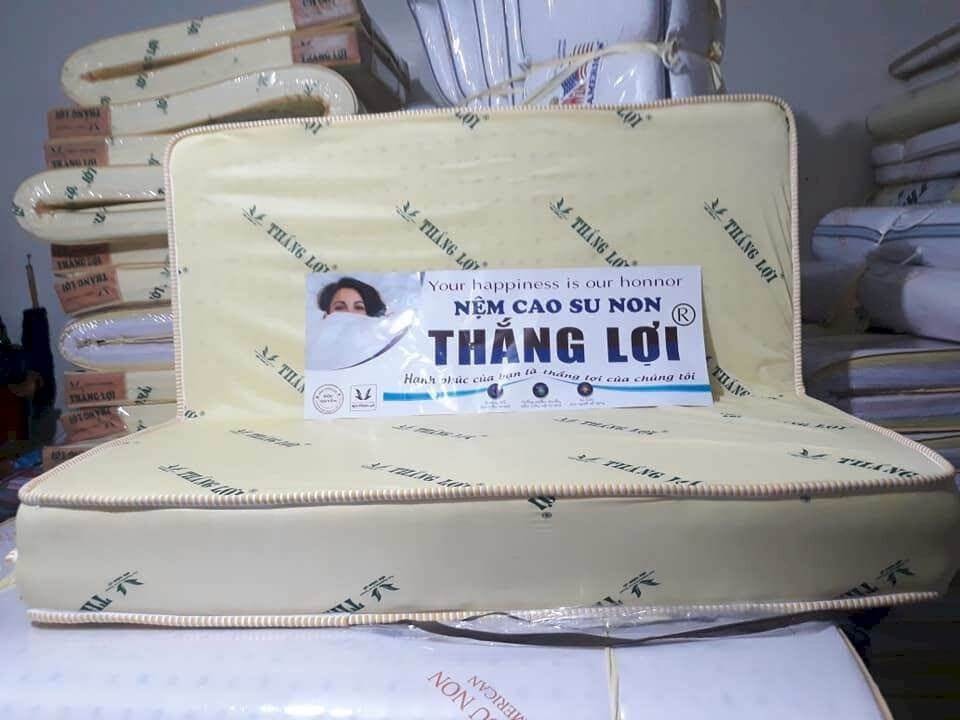 [HCM]Nệm Gấp 2 Size 1m6 x 2m x 20cm Cao Su Non Thắng Lợi Cao Cấp