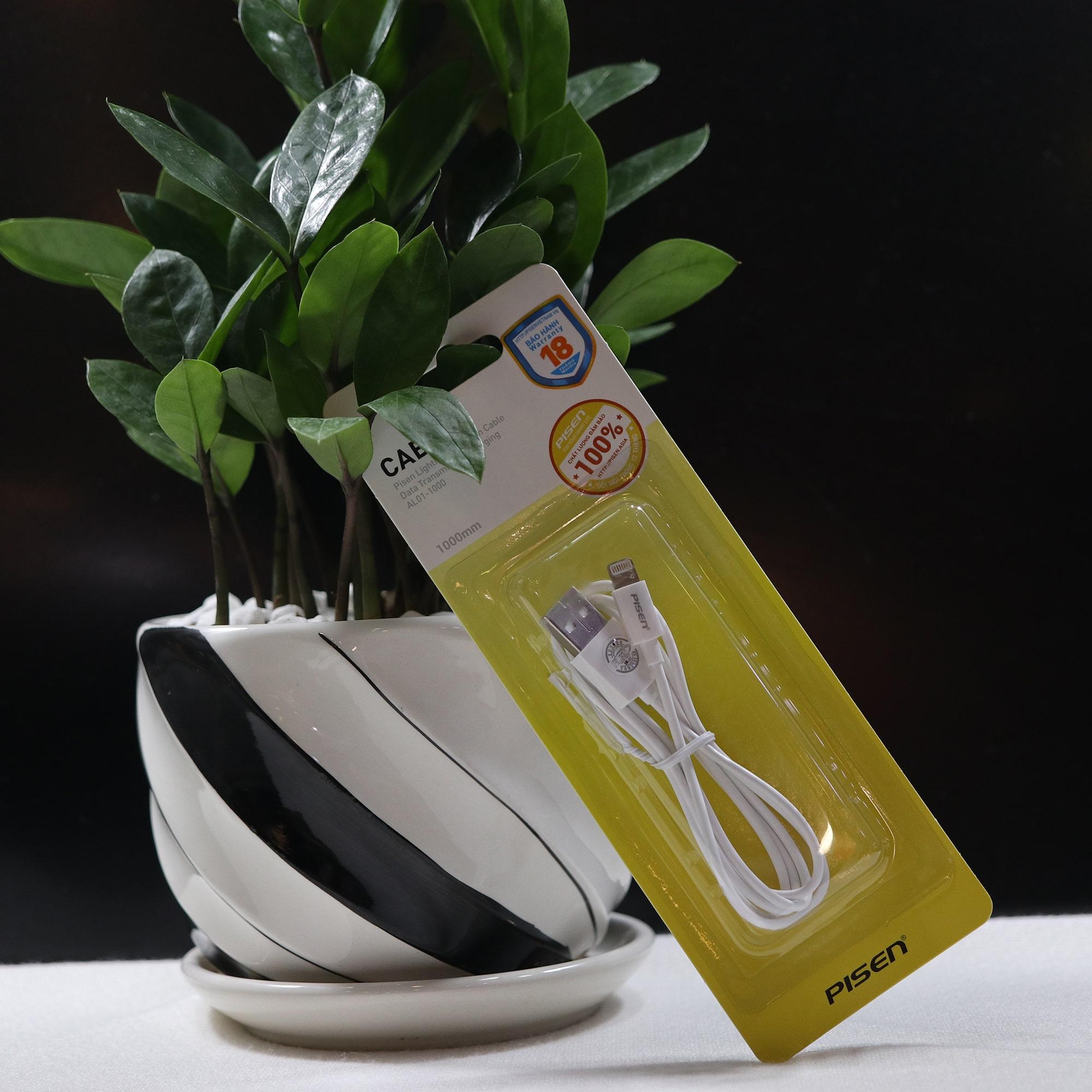 Dây Sạc Pisen Cho Iphone