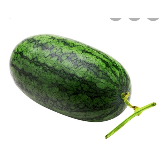 Hạt giống dưa hấu Hắc Mỹ Nhân ( dưa hấu trái dài ) F1 gói 23-130 hạt giá rẻ