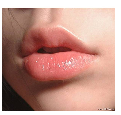Son dưỡng cao cấp DHC Extra Moisture Lip Cream 1,5g