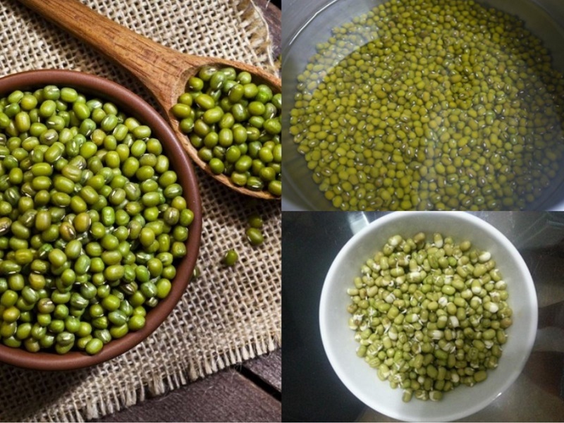 HCM Đậu xanh làm giá đỗ Hạt giống đậu xanh Đậu xanh Oganic Túi 1Kg