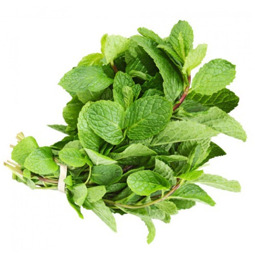 Hạt giống rau húng lủi