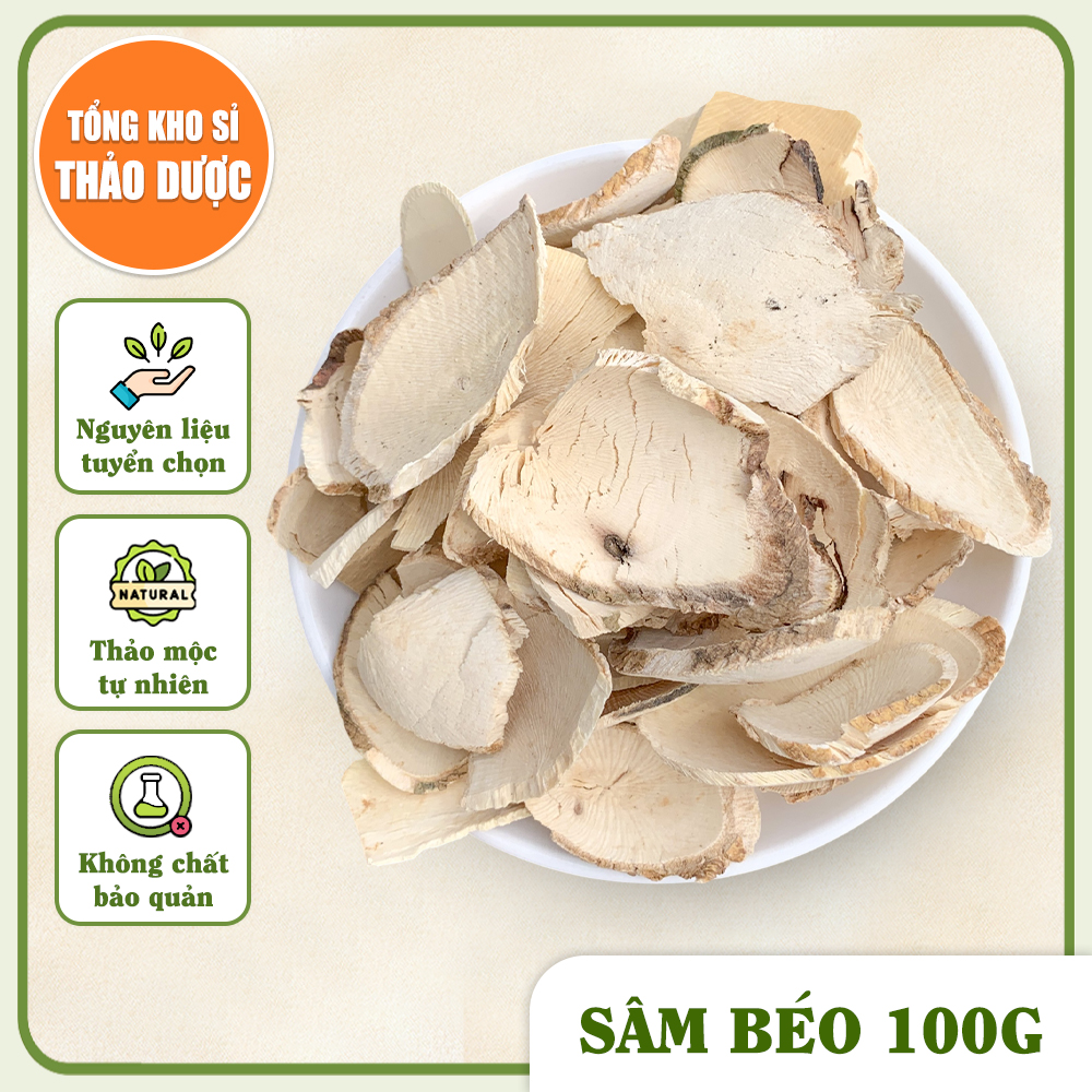 Sâm béo trắng 100g, trà sâm bổ béo khô, thái lát, hỗ trợ tăng cân, tốt cho sức khỏe, bổ khí huyết