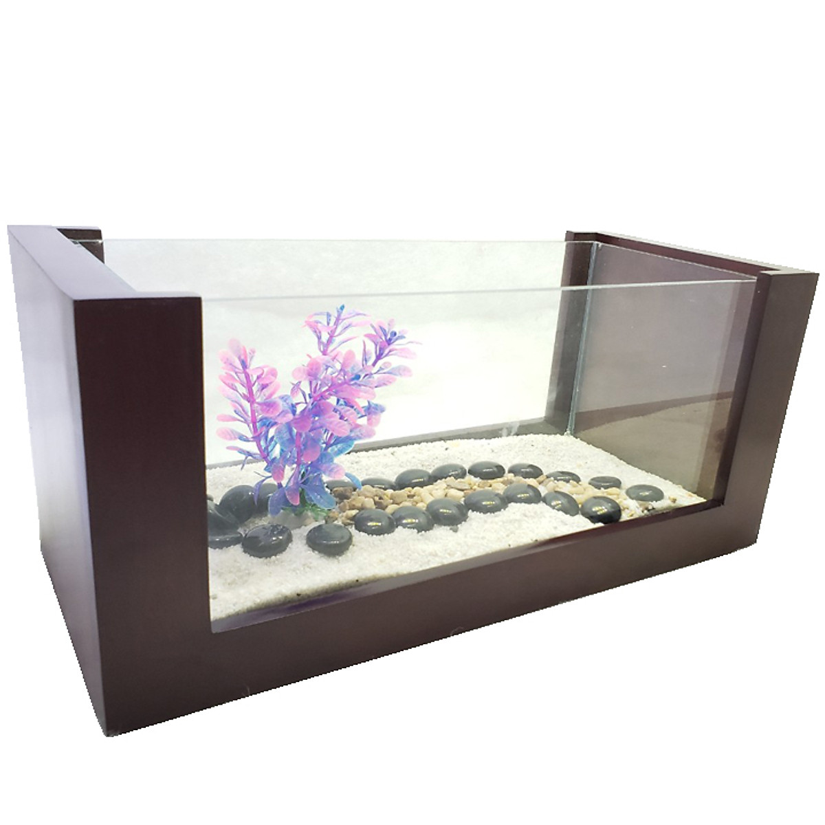 Bể cá mini khung gỗ