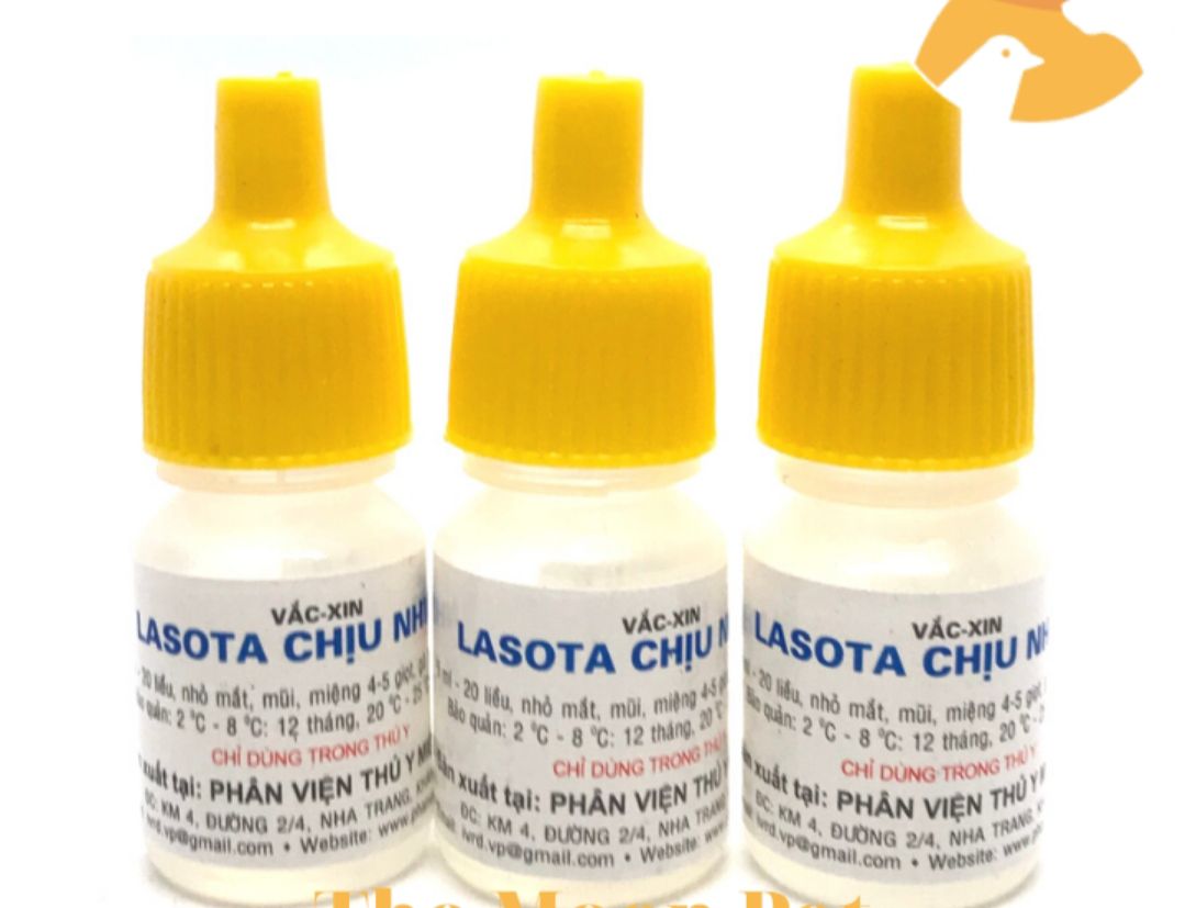 Vacxin lasota chịu nhiệt liều 25 con - 392