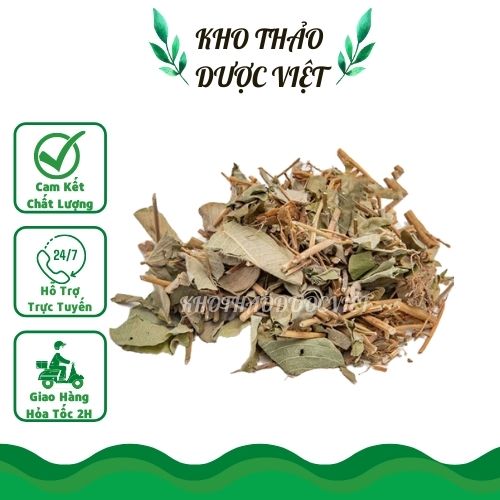 500gr lá kim tiền thảo phơi khô đánh tan sỏi thận.