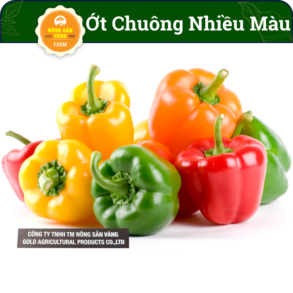 Hạt giống Ớt Chuông Ngọt Nhiều Màu Loại Cây Trồng Ưa Khí Hậu Mát, Ưa Ánh Sáng Mặt Trời (Gói 40 hạt) - Nông Sản Vàng