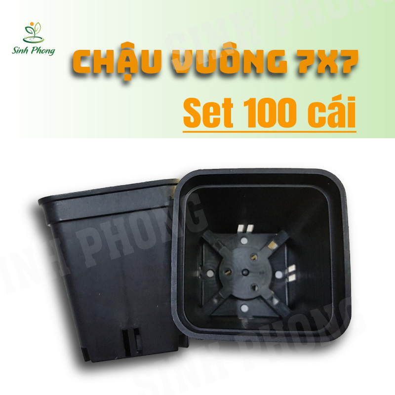Chậu vuông 7x7 màu đen (Set 100 cái), Được làm từ nhựa PP dày cao cấp, độ bền cao, chịu nhiệt tốt, lỗ thoát nước chuẩn đẹp. - Sản phẩm chất lượng - gian hàng uy tín - giá luôn tốt - mua ngay kẻo lỡ !