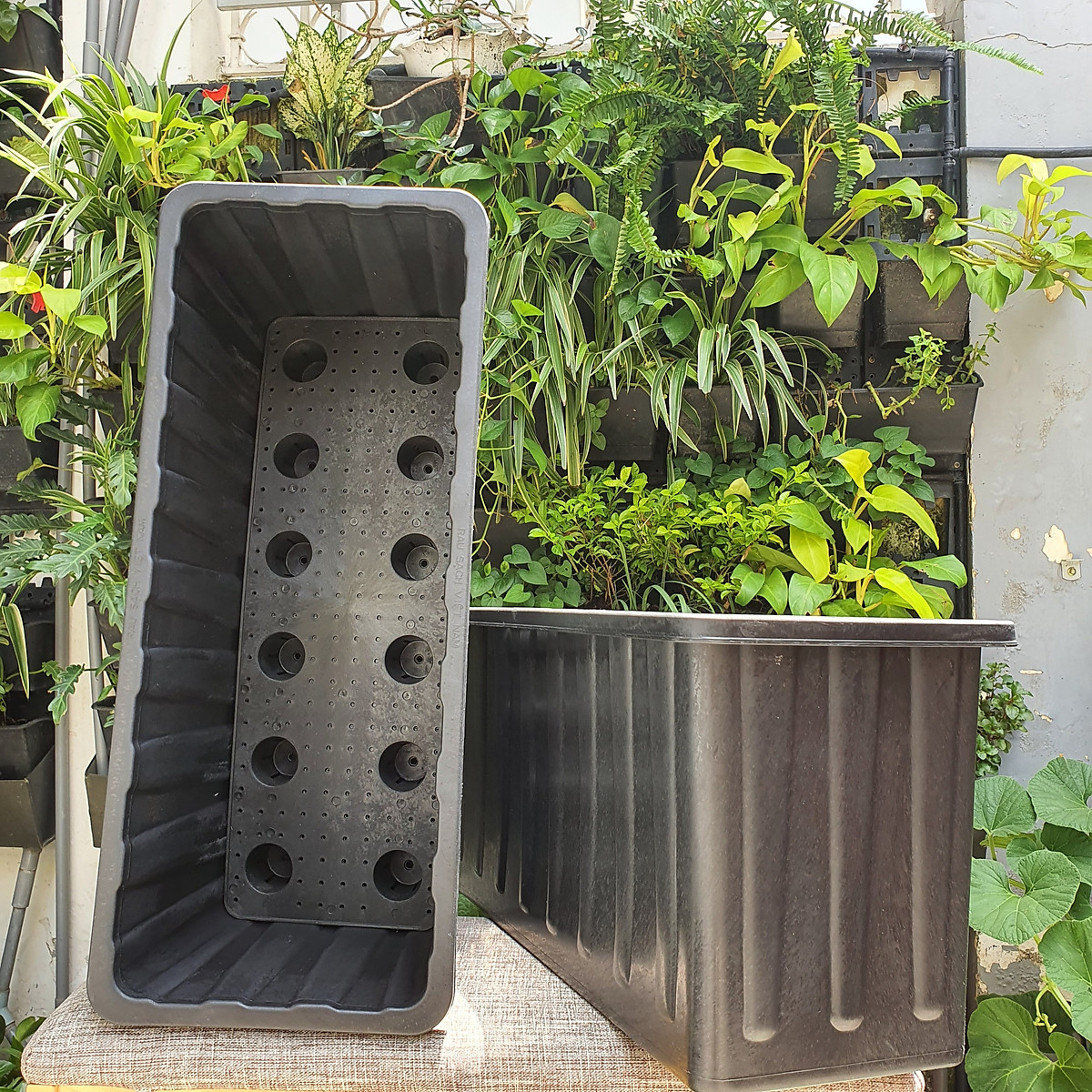 Khay Chậu Nhựa Cỡ Lớn Thông Minh Trồng Rau Sạch, Trồng Cây, Trồng Hoa (KT:63x26x30cm)