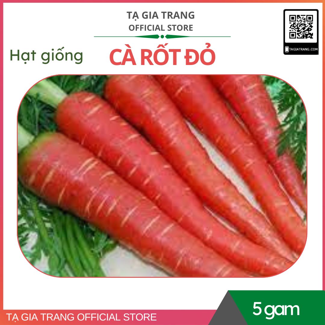 Hạt giống cà rốt đỏ red carot - gói 5gr