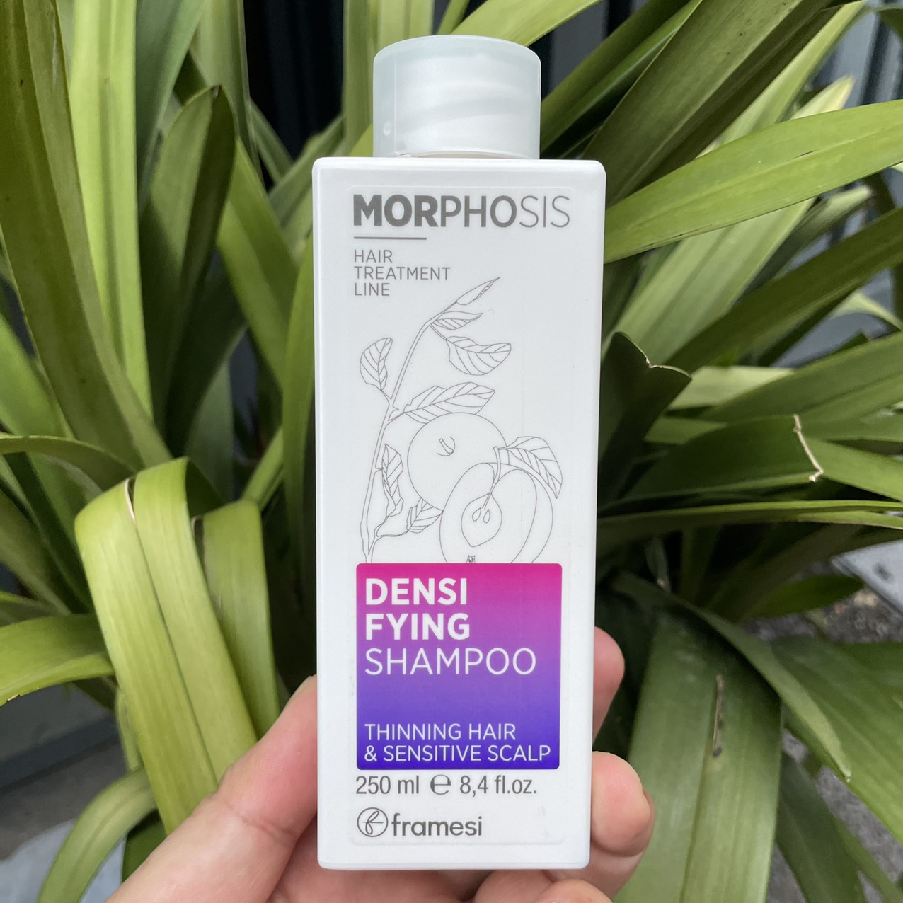Dầu gội FRAMESI Morphosis chăm sóc tóc rụng và kích thích mọc tóc Densifying 250ml