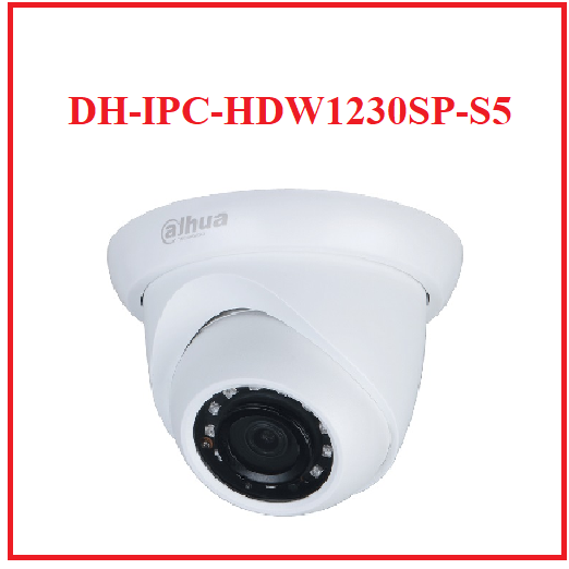 Camera IP Dome hồng ngoại 2.0 Megapixel DAHUA DH-IPC-HDW1230SP-S5