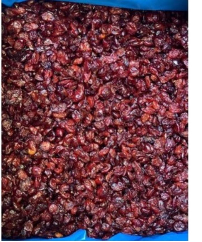 Nam việt quất 100g