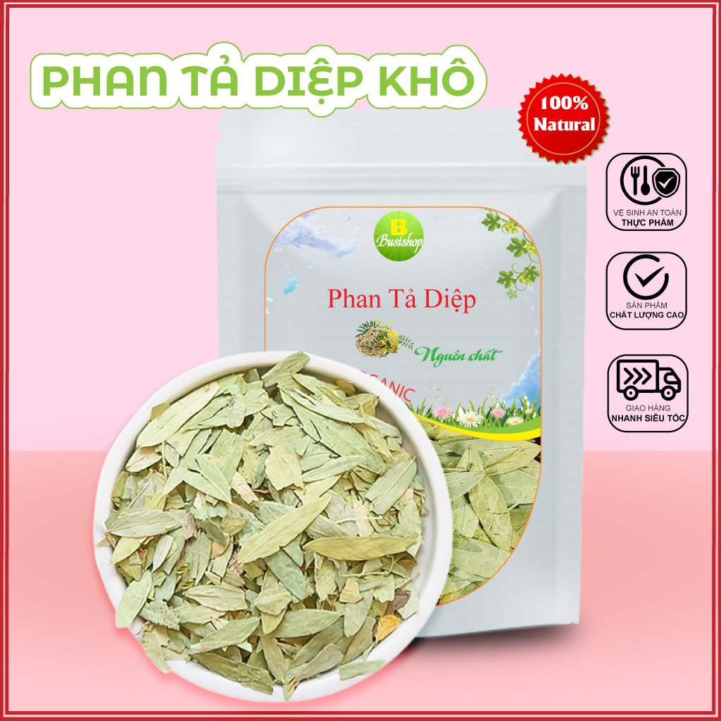 Lá phan tả diệp khô 100g, Trà phan tả diệp khô