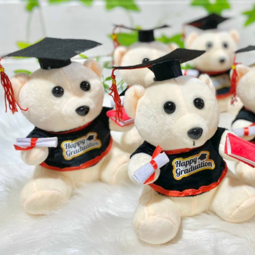 Gấu bông tốt nghiệp 20cm - Gấu bông teddy tốt nghệp - gấu bông cử nhân 20cm - quà tặng ý nghĩa - gauxinh268