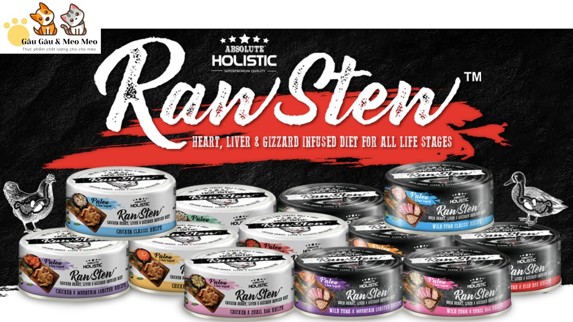 Absolute holistic pate cao cấp cho thú cưng