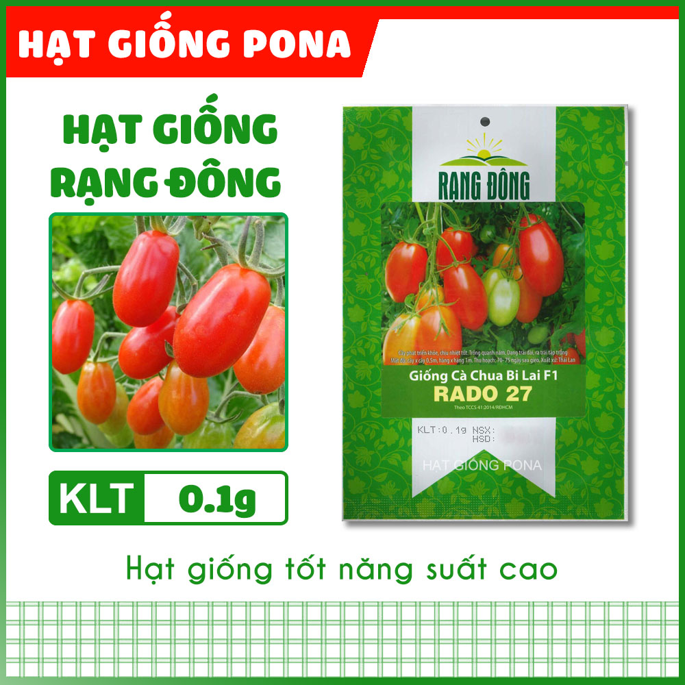 Hạt giống cà chua bi lai f1 rado 27 - hạt giống rạng đông