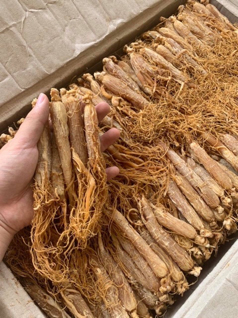 Hồng Sâm Hàn Quốc 100G hồng sâm tăng cường sức khỏe hàng chuẩn Hàn Quốc - Dược Liệu Quý