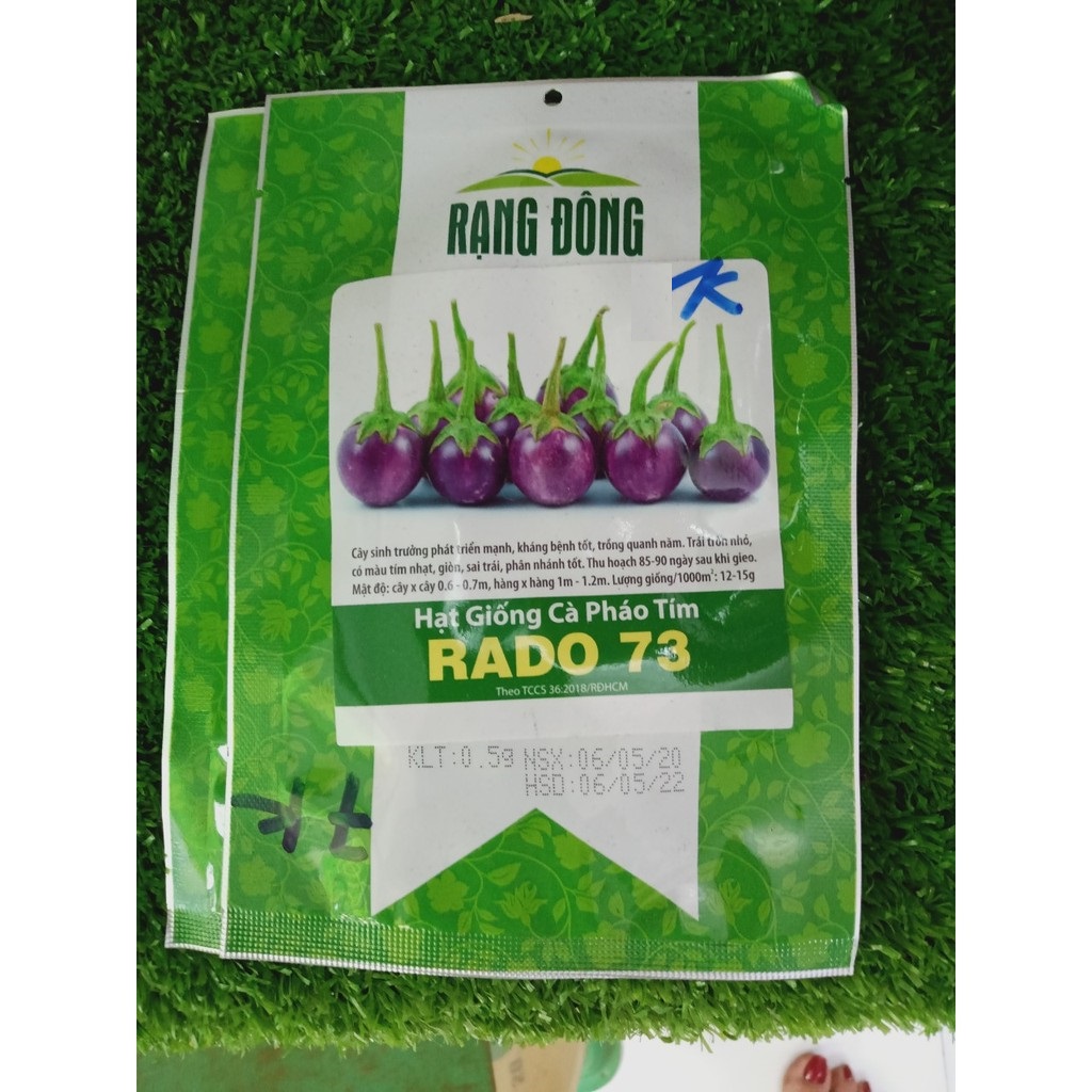 Hạt giống rđ-cà pháo tím73